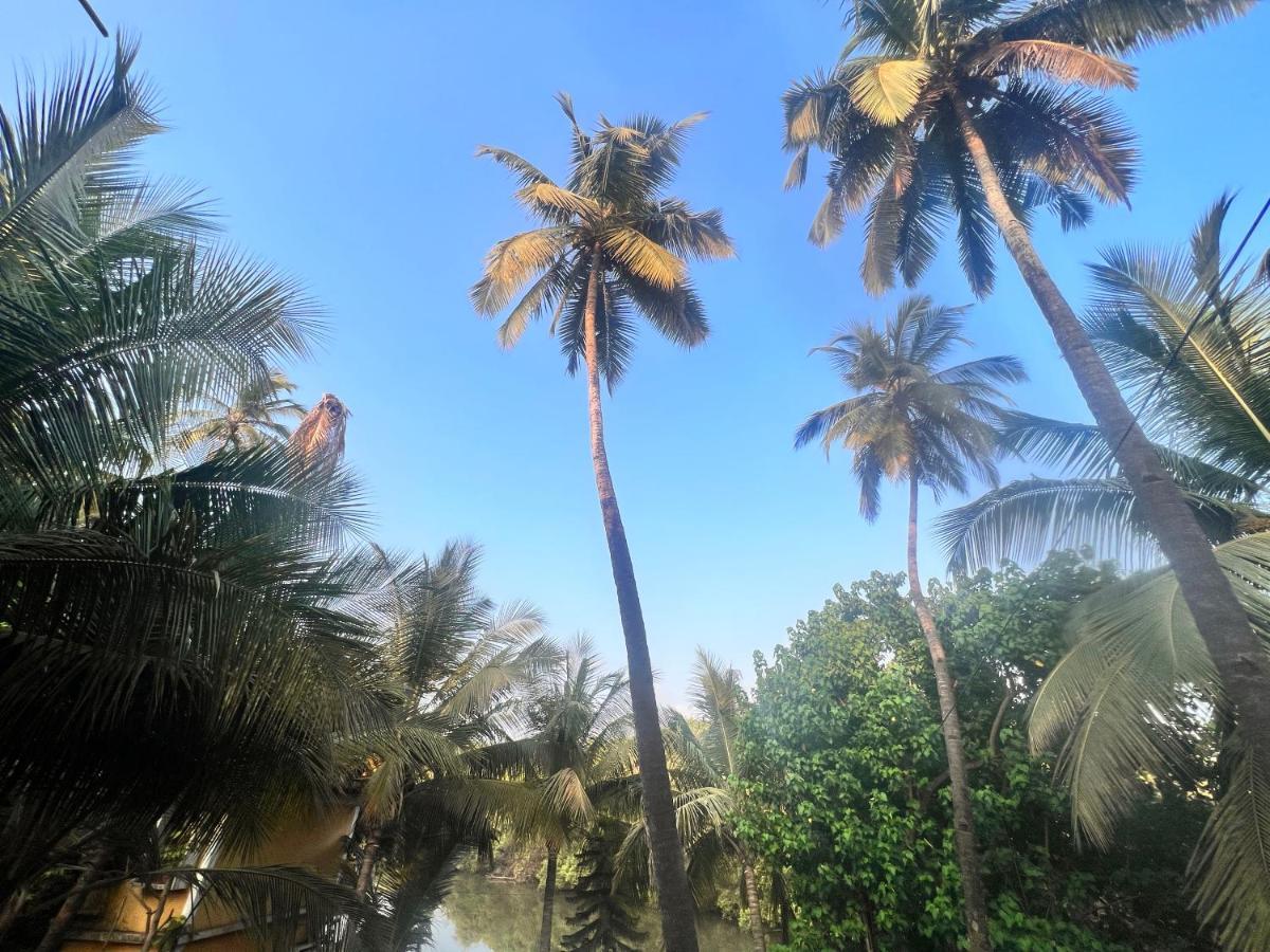 Kyel Villa Guest House Arambol Buitenkant foto